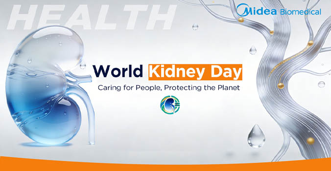 Всемирный день почек 2026 года