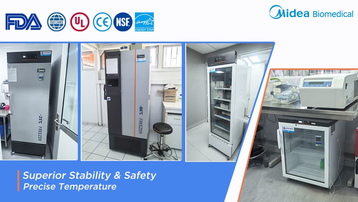 Обеспечение будущего аквакультуры: вопросы и ответы с ведущей чилийской лабораторией рыболовства.