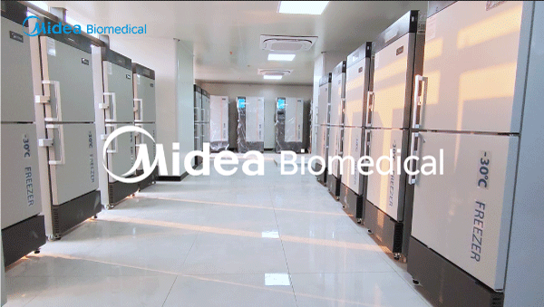 Компания Midea Biomedical поставила критически важные холодильные установки в больницу для строительства биобанка.